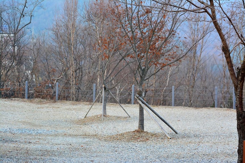 팡팡캠핑장 시설 사진 1