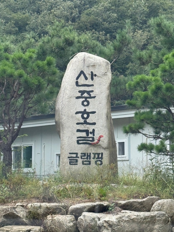 9월 포천 여행 백운계곡 옆 산중호걸 글램핑카라반에서...