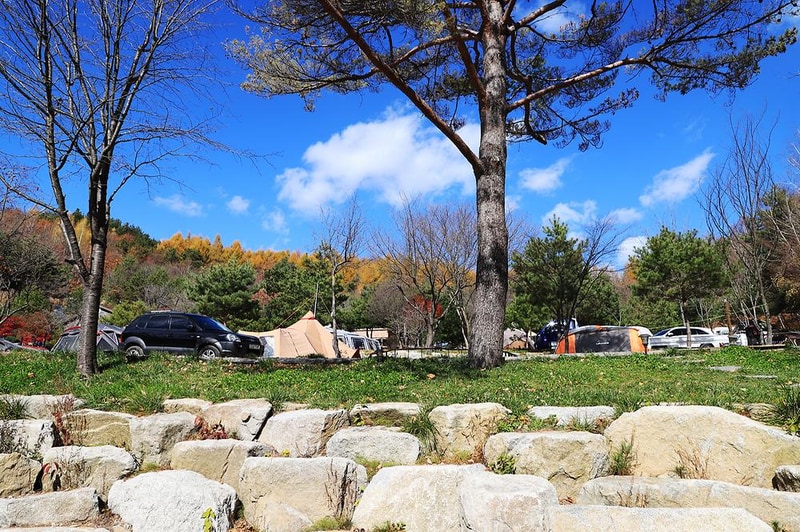 삼남매와 뭉치네 캠핑장 시설 사진 18