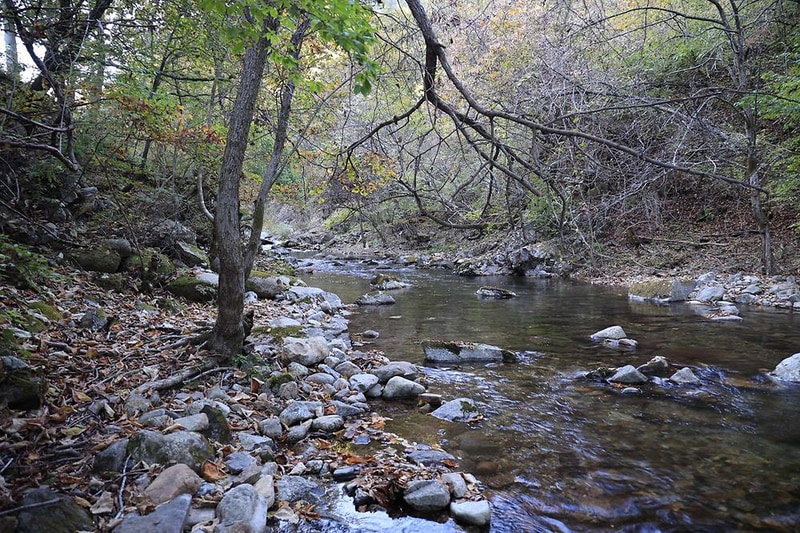 인제소재골야영장 시설 사진 16