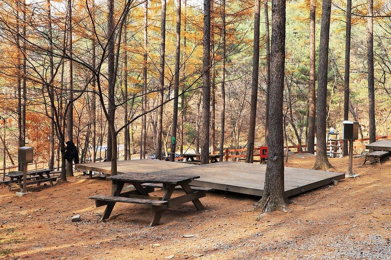 국립용화산자연휴양림 시설 사진 6