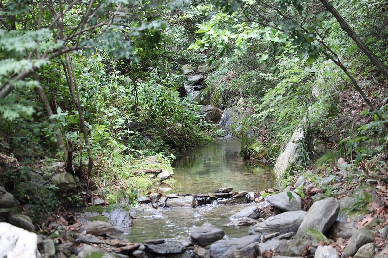 춘천하늘캠핑장 시설 사진 4