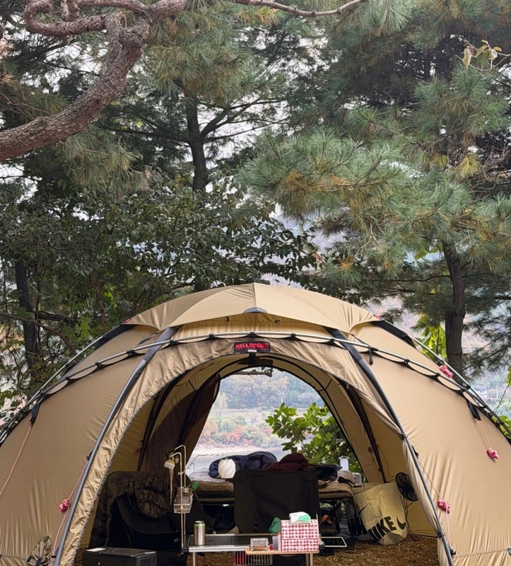 [충주] 스위스캠핑장 | 조용하고 예쁜 곳 찾는다면 바로 여기