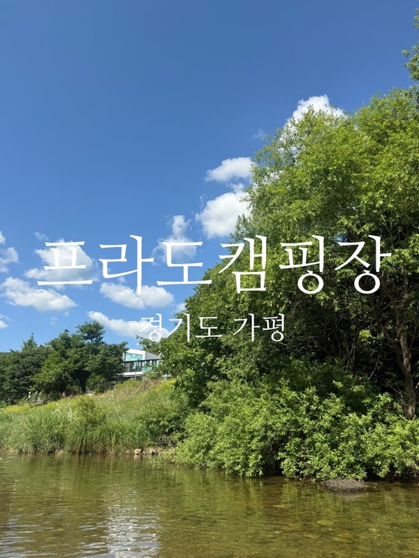 미온수 수영장과 계곡이 있는 가성비 캠핑장 가평 프라도캠핑장