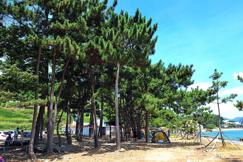 두곡해수욕장야영장 시설 사진 6