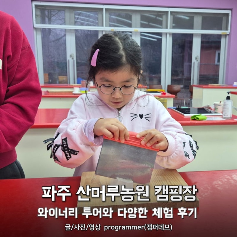 파주 산머루농원 캠핑장, 와이너리 투어와 다양한 체험 후기