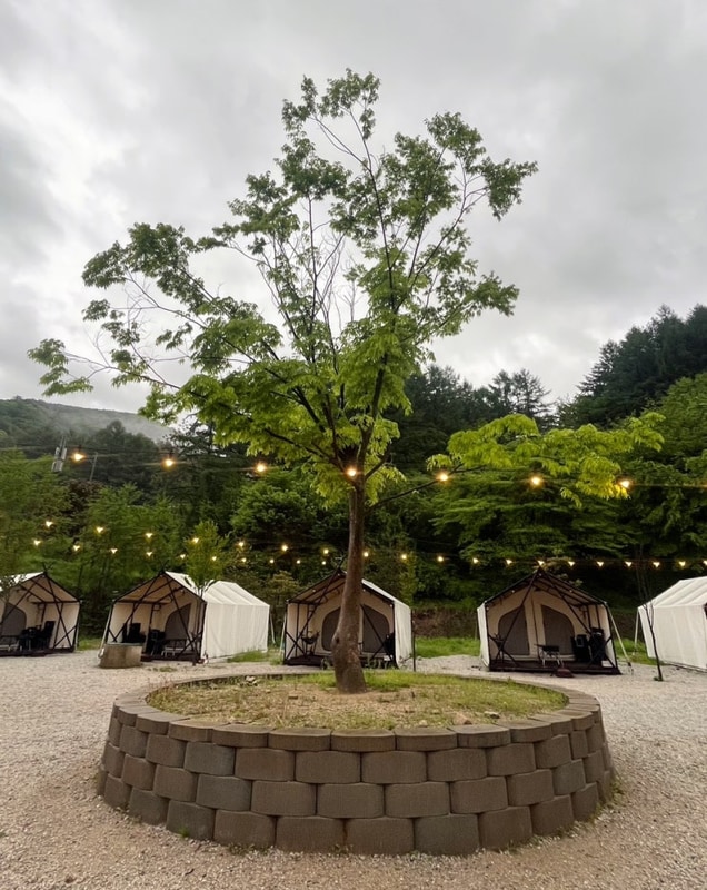 서울 근교 글램핑 호랑이캠핑 포천 산정호수점