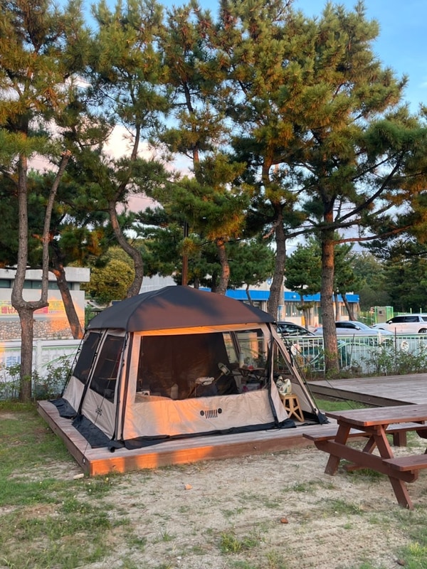 캠핑)고성 오호캠핑장-B11사이트