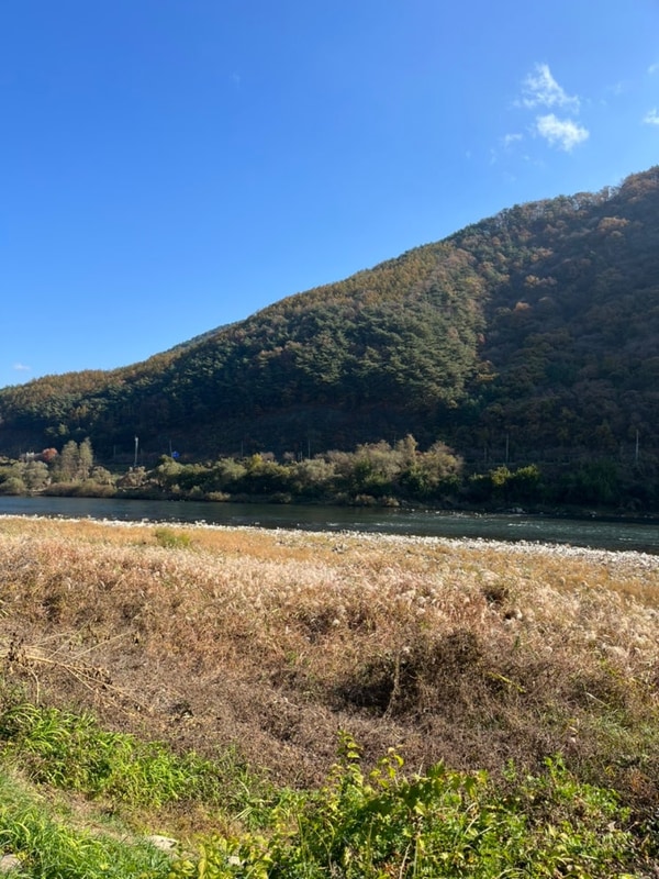 2024년 마지막 캠핑 [단양 무지개오토캠핑장 24.11.08 - 11.10]