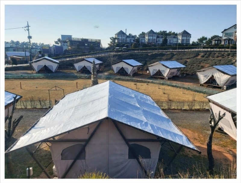 함께한 안면도카라반 태안 안면도 비비애견동반캠핑장 후기