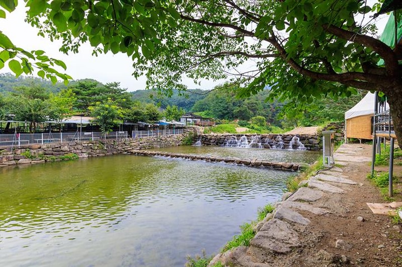 팔공 쉼터 야영장 대표 사진