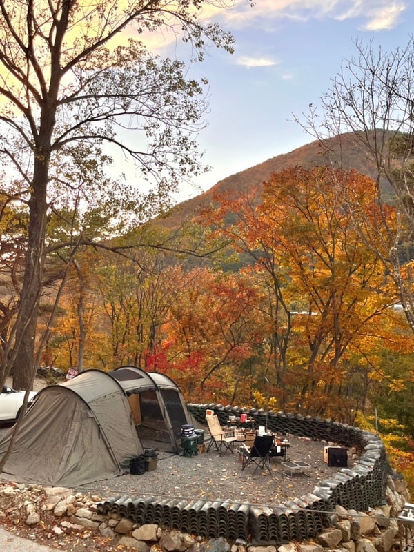 경북 오토캠핑장 추천 • 영천 별무리 캠핑장 대구 근교 캠핑