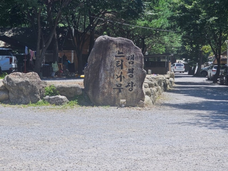 강원도 영월 느티나무 캠핑장