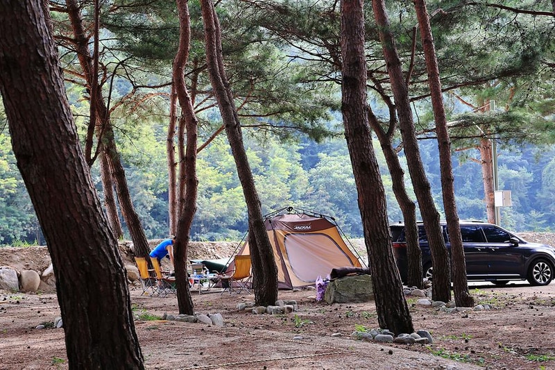 한계2리 솔밭야영장 시설 사진 18