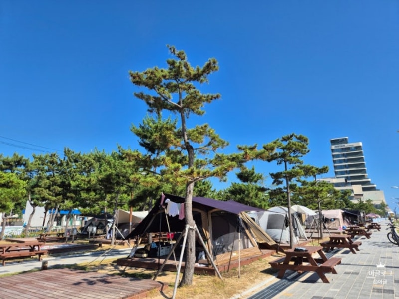 고성 캠핑 숨겨진 보석 같은... 내돈내산 솔직후기, 오호캠핑장