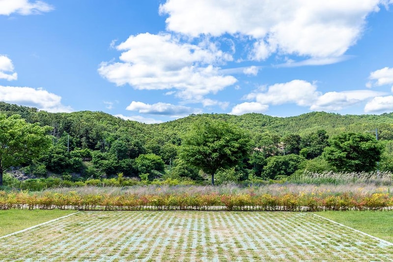 금호강 오토캠핑장 시설 사진 36
