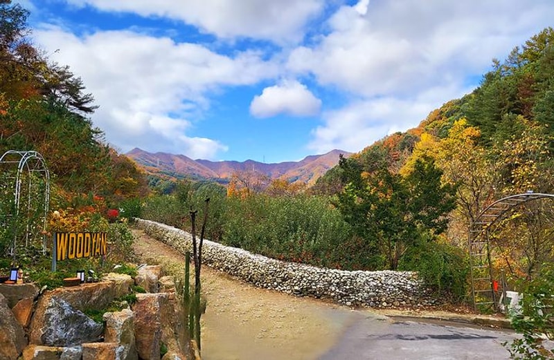 우디안캠핑 대표 사진