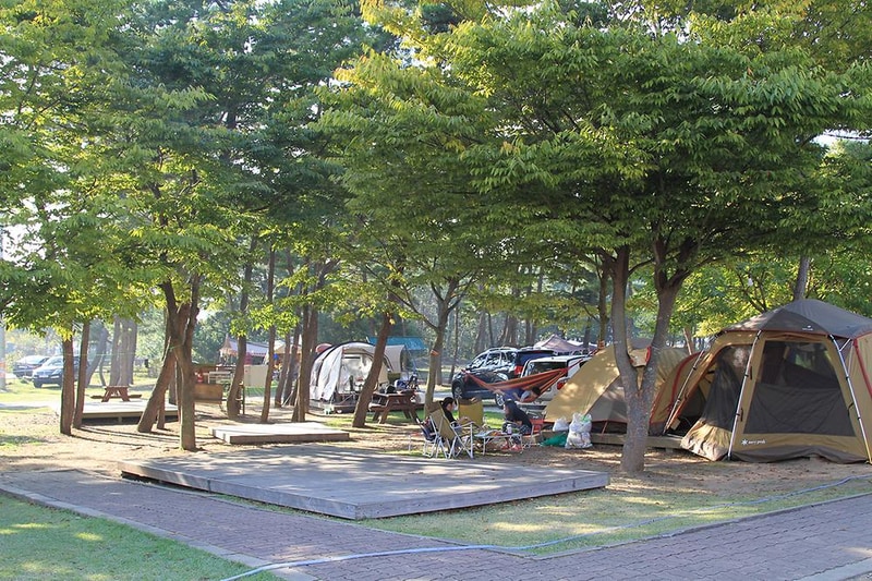 청포대숲속야영장 시설 사진 14