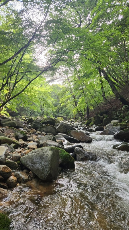 [캠핑일기#18] 250807_가야산 삼정야영장