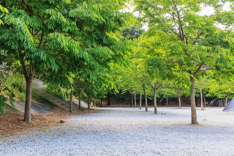 백제캠핑장 시설 사진 3