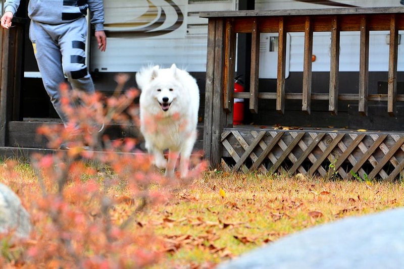 리즈밸리 시설 사진 1