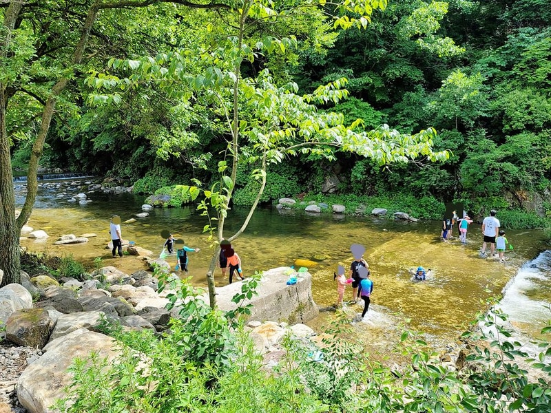 포레스트힐링캠프 시설 사진 40