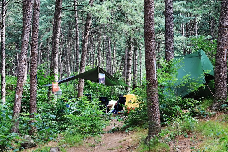 호명산잣나무숲속캠핑장 시설 사진 16