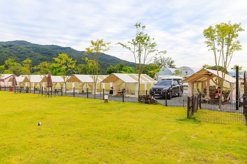 잭슨글램핑 시설 사진 19