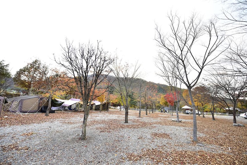 은석캠핑장 시설 사진 9