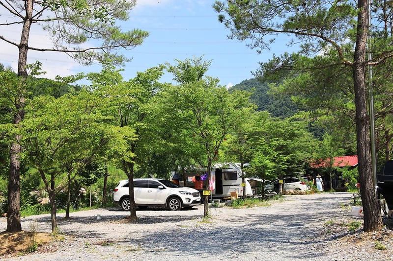 평창 보물섬캠핑장 시설 사진 10
