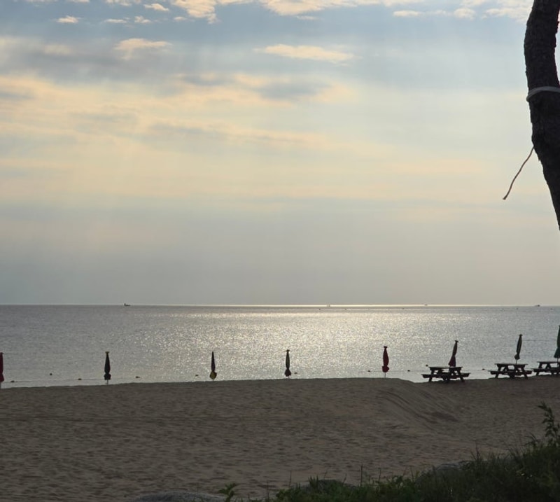 양양 여름 바다 수영, 동호해변 차박과 북분솔밭 캠핑장 기록