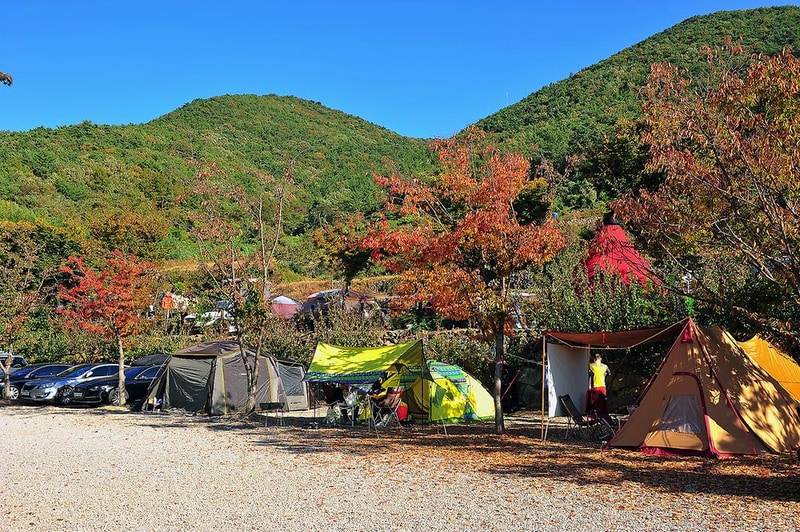 고성 장좌리 캠핑장 시설 사진 17