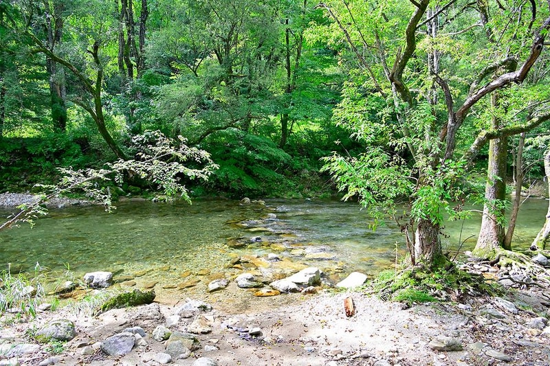 무주덕유산계곡글램핑 시설 사진 6