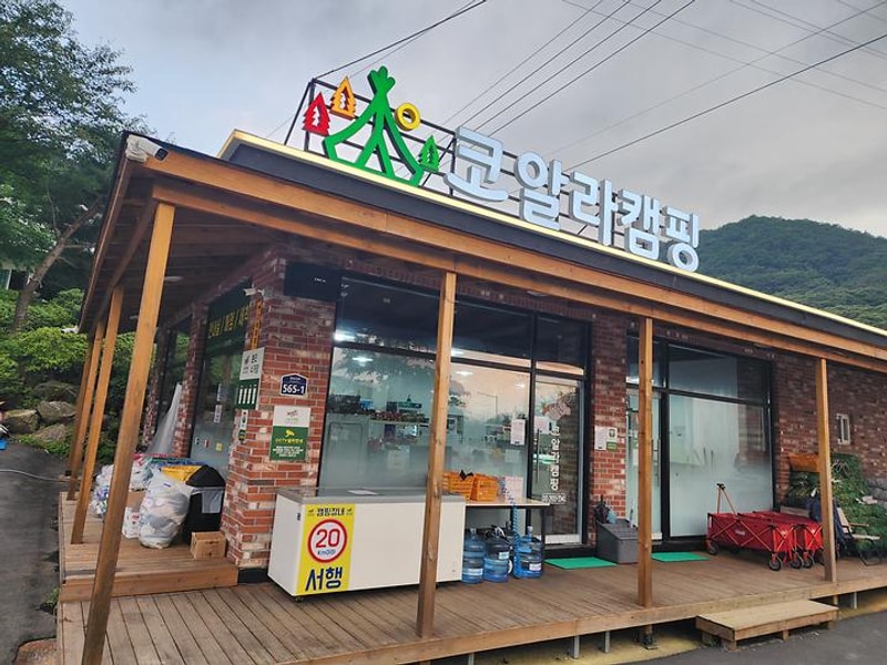 코알라캠핑장 대표 사진