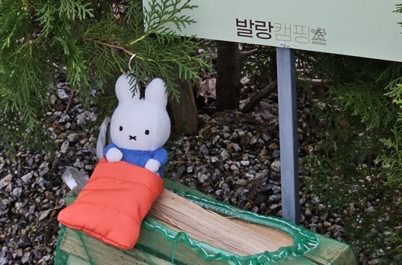 근교 캠핑장, '파주 발랑캠핑타운' 캠핑 사이트 추천, 장단점 정리