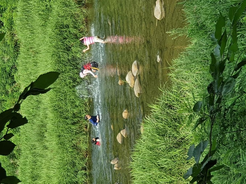 파인트리캠핑장 시설 사진 61