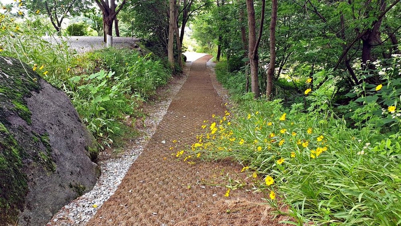 안성비봉산 캠핑장 시설 사진 24