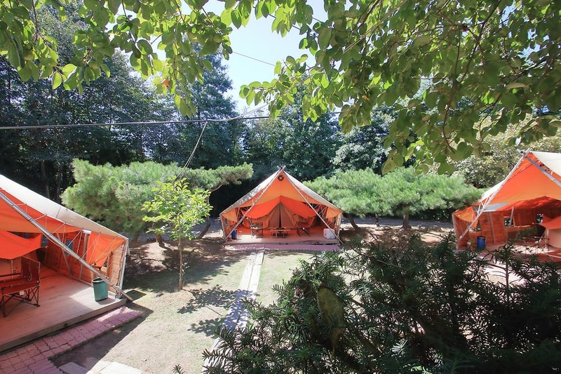 초락나루펜션&글램핑 시설 사진 12