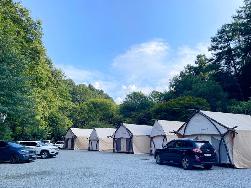 홍천 코코비발디글램핑 계곡 수영장 캠핑 글램핑 숙박후기