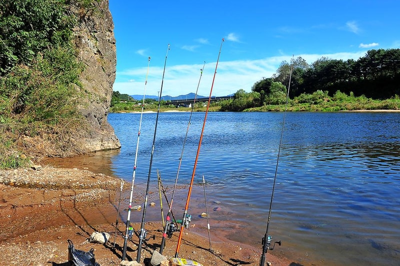 송가네 오가리캠핑장 시설 사진 16