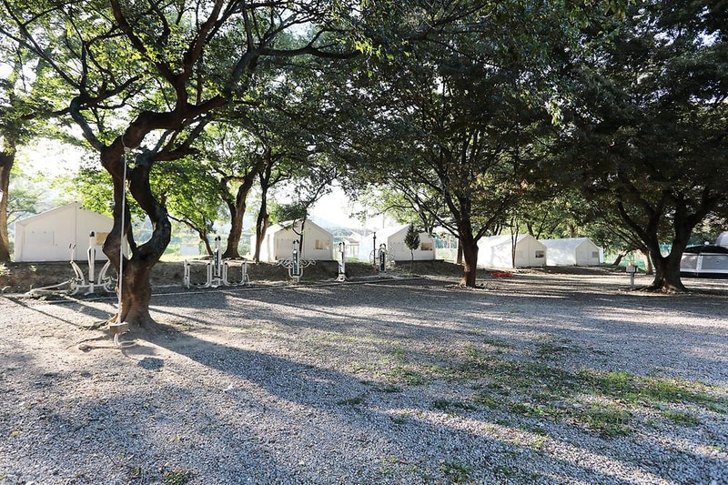 농협회사법인 봉좌마을 캠핑장 시설 사진 7