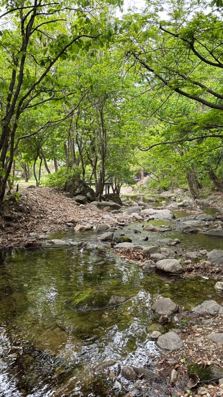 [가평] 계곡 옆 나무 그늘이... 데크 캠핑장, 호명산 캠프(N데크)