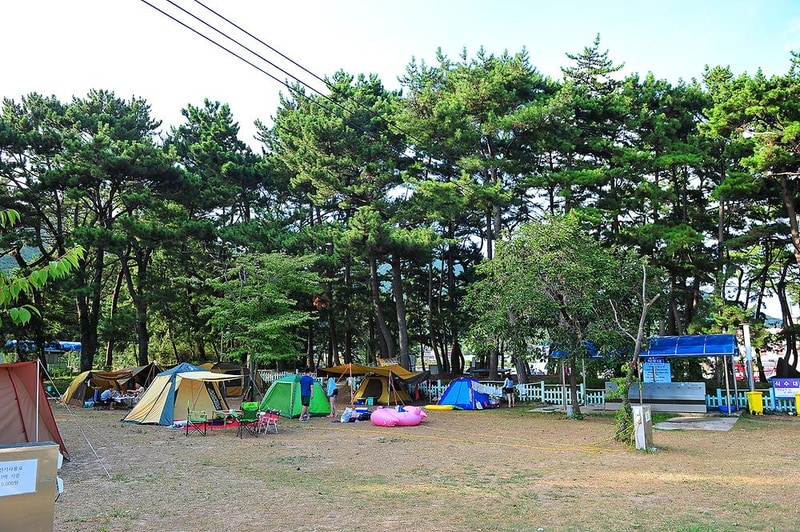 송정솔바람야영장 시설 사진 6