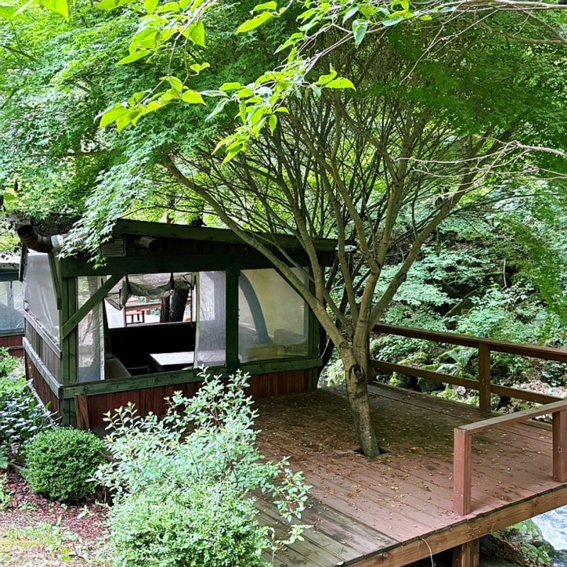 강원도 정선 펜션 계곡 코앞인 도원펜션 캠핑장