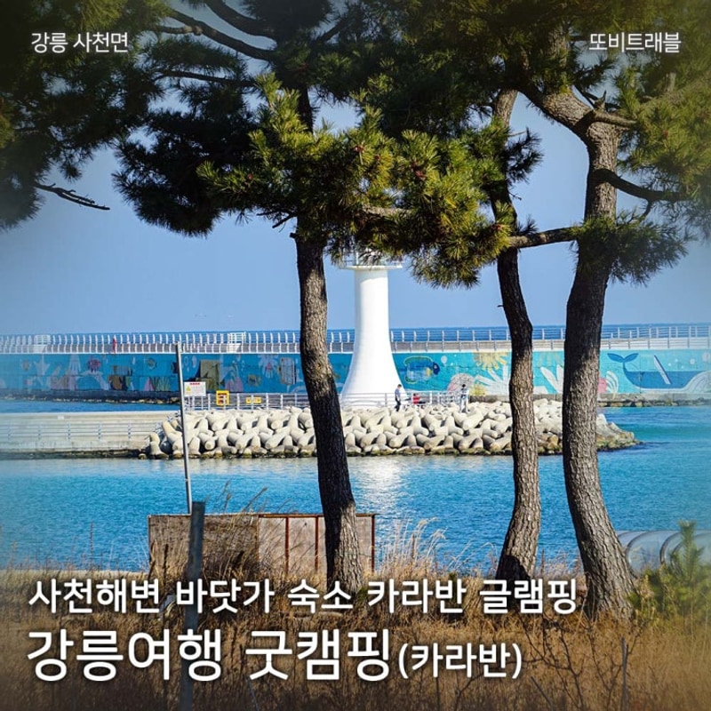 사천해변 바닷가숙소 카라반 글램핑 이용후기 : 강릉캠핑 굿캠핑