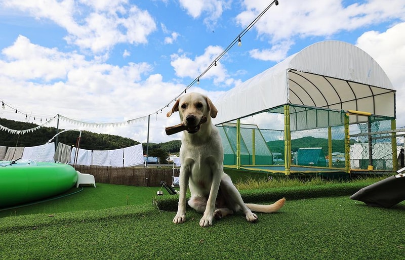 보리캠핑장 시설 사진 11