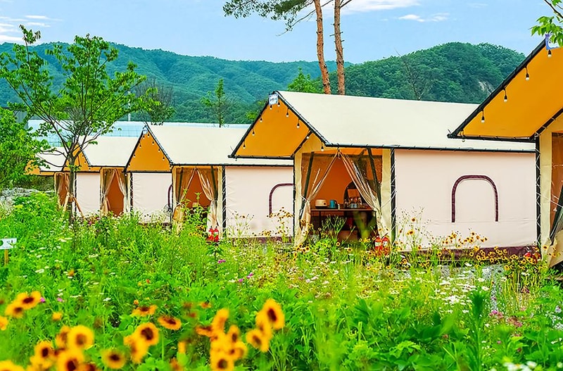 (주)더그린포천 농업회사법인(민트글램핑) 시설 사진 4