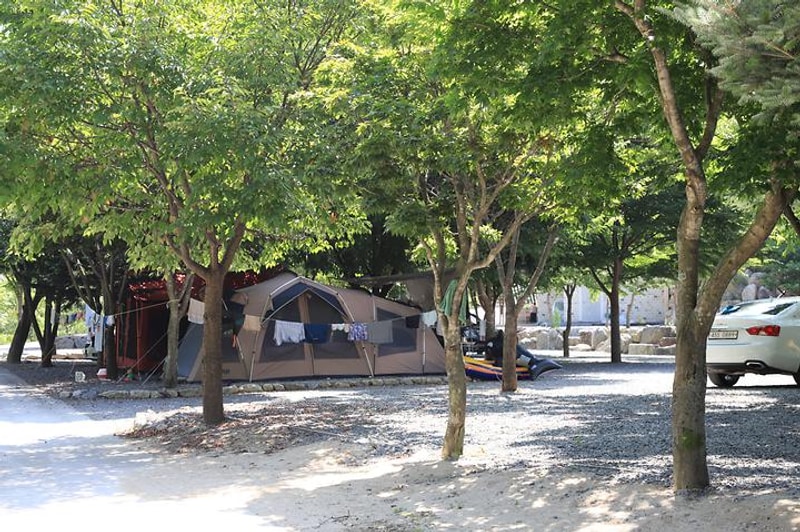 뜨란솔 캠핑장 대표 사진
