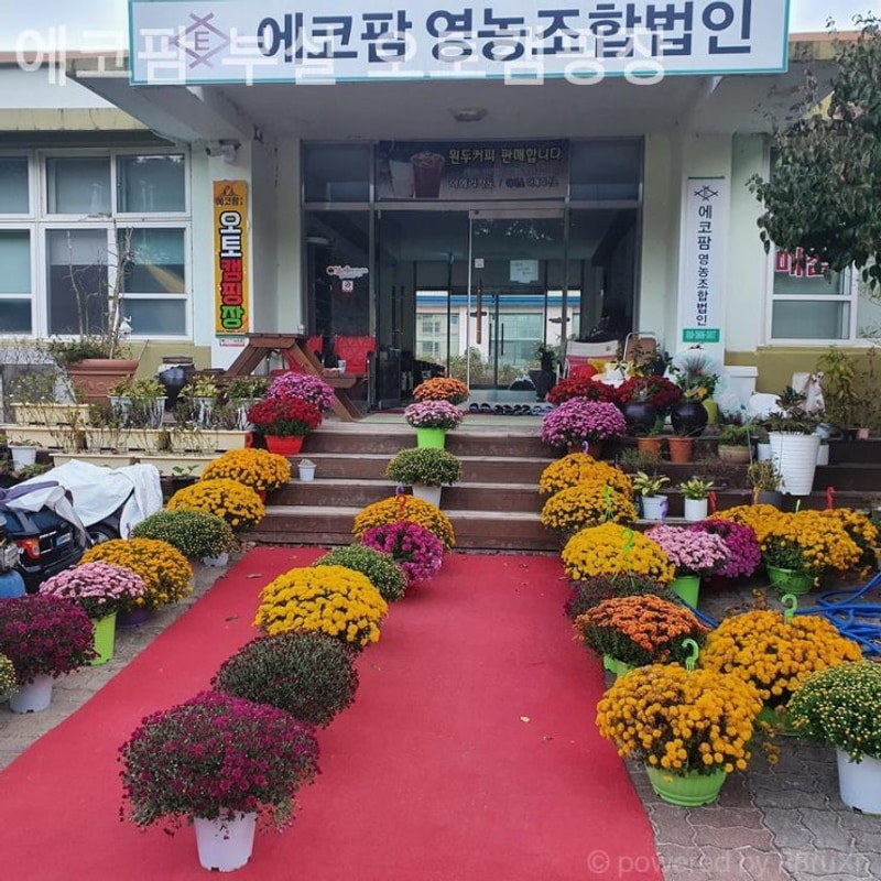 [포항/캠핑장/글램핑] 에코팜 부설 오토캠핑장 도심을 벗어나...