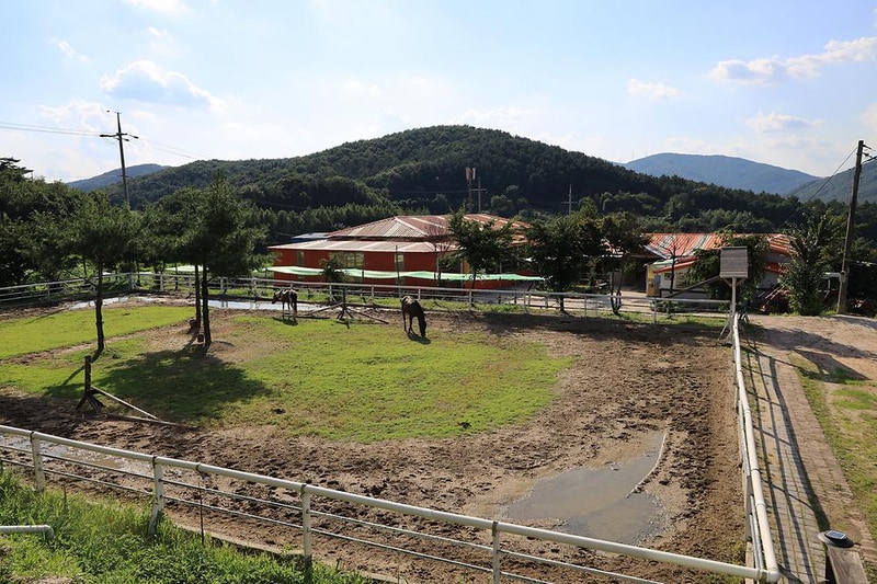 홀스킹덤 글램핑 시설 사진 20